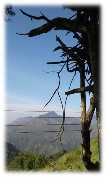 Dew Drop Resort Ella Luaran gambar